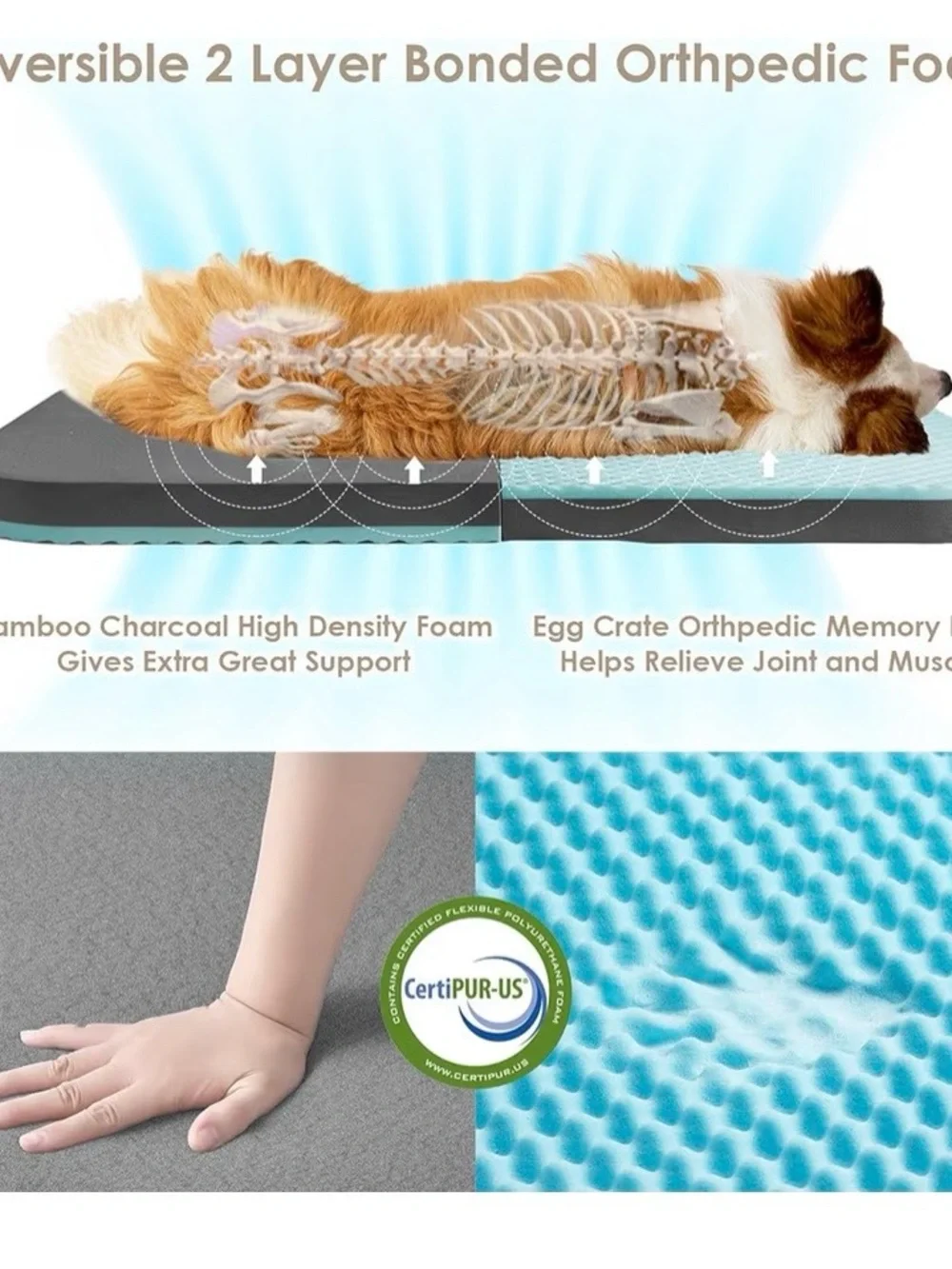 Plush Dog Bed Lounger - Beige Sherpa Comfort